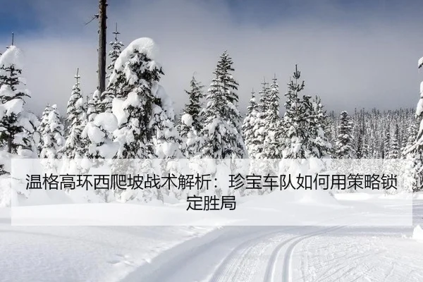 wen-ge-gao-huan-xi-pa-po-zhan-shu-jie-xi-zhen-bao-che-dui-ru-he-yong-ce-lve-suo-ding-sheng-ju-2-173.jpg