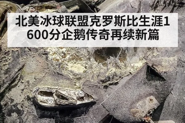 北美冰球联盟克罗斯比生涯1600分企鹅传奇再续新篇